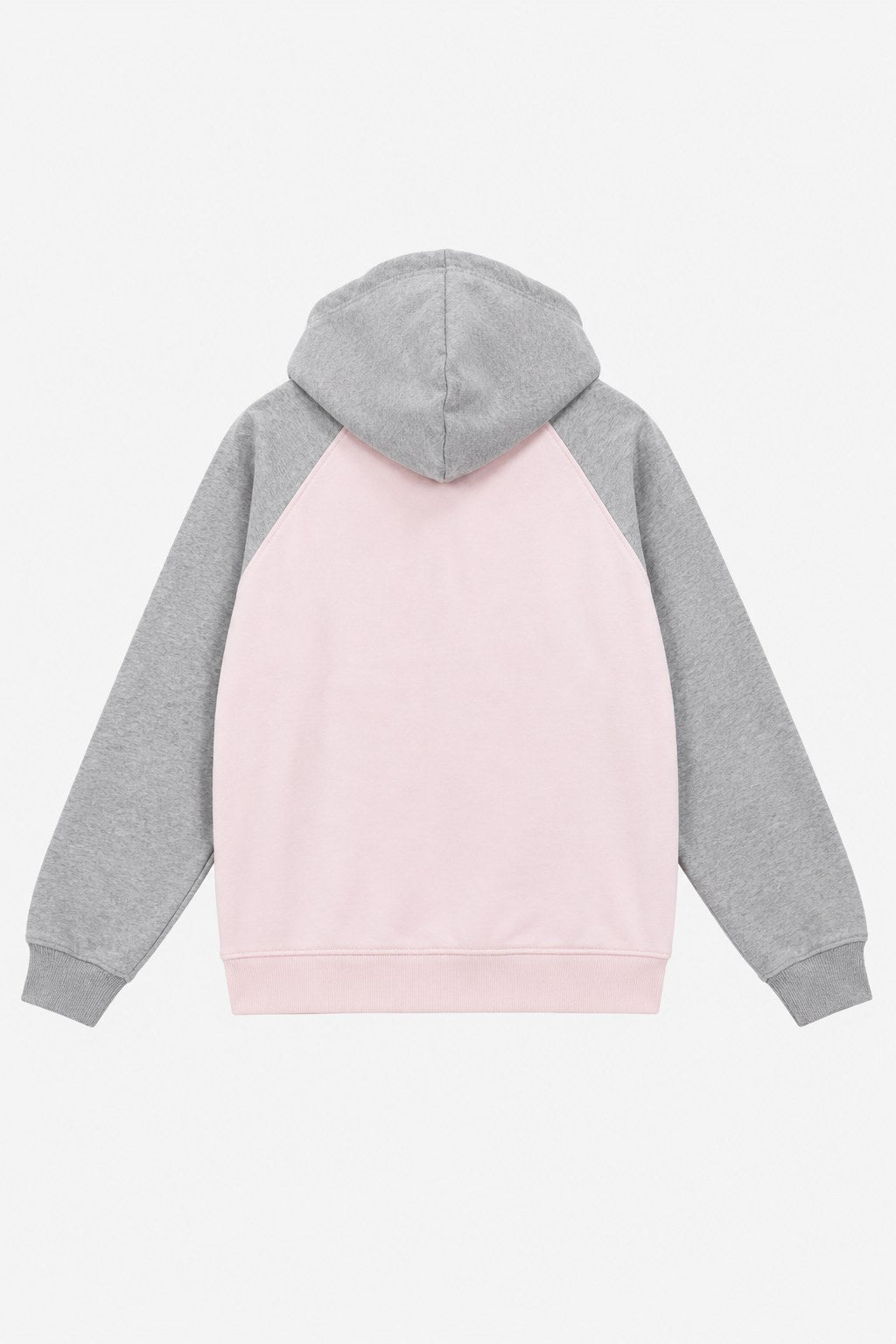 BLUSH CAMPUS HOODIE · espalda (digital)