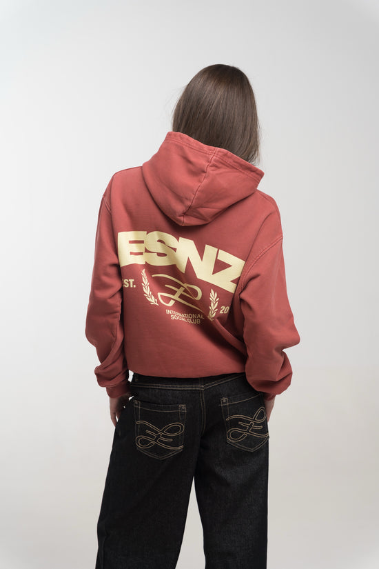 BRICK SOZIAL HOODIE